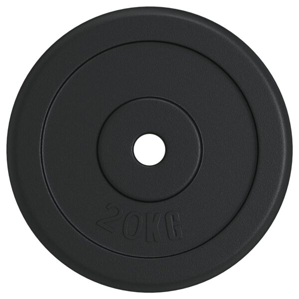vidaXL Weight Plate 44.1 lb Cast Iron