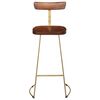 vidaXL Bar Stool Set of 2 Brown and Gold Solid Mango Wood, Iron Standard