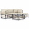 vidaXL Garden Lounge Set Anthracite, Beige