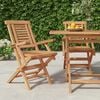 vidaXL Folding Garden Chair Set of 2 Natural teak Solid teak wood Medium