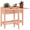 vidaXL Garden Planter Natural Wood Solid Douglas Fir Wood Medium