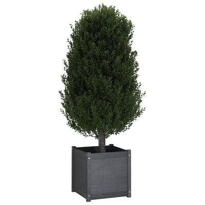 vidaXL Garden Planter Gray 19.7"x19.7"x19.7" Solid Wood Pine