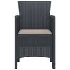 vidaXL Garden Chair 2 pcs Anthracite 20.87 x 19.29 x 33.46 in