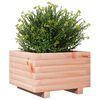 vidaXL Garden Planter Natural Wood Solid Douglas Fir wood Medium