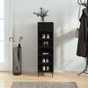 vidaXL Shoe Cabinet Black Engineered Wood Compact Shoe Cabinet