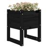 vidaXL Planter Set of 2 Black Solid pine wood Medium Durable Planter