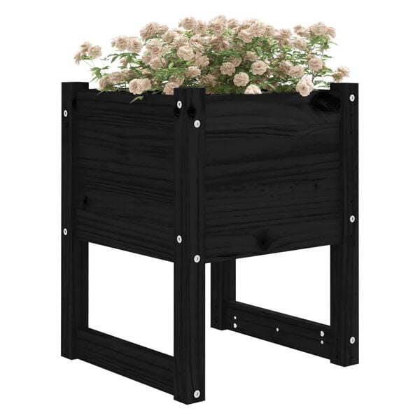 vidaXL Planter Set of 2 Black Solid pine wood Medium Durable Planter