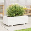 vidaXL Garden Planter White Solid pinewood Decorative Inlays