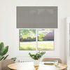 vidaXL Pleated Blind Anthracite Polyester 41.3 x 39.4 in
