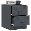 vidaXL Bedside Cabinet Set of 2 Anthracite Steel 13.6 x 15.4 x 17.3 in