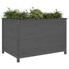 vidaXL Patio Raised Bed Grey 119,5x82,5 x 30.7 " Solid Wood Pine