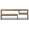 vidaXL TV Cabinet Various (reclaimed wood with natural differences)