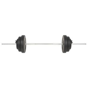 vidaXL Barbell with Plates 132.3 lb