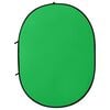 vidaXL 2 in 1 Oval Studio Background Screen Green and Blue 78.7x59.1"