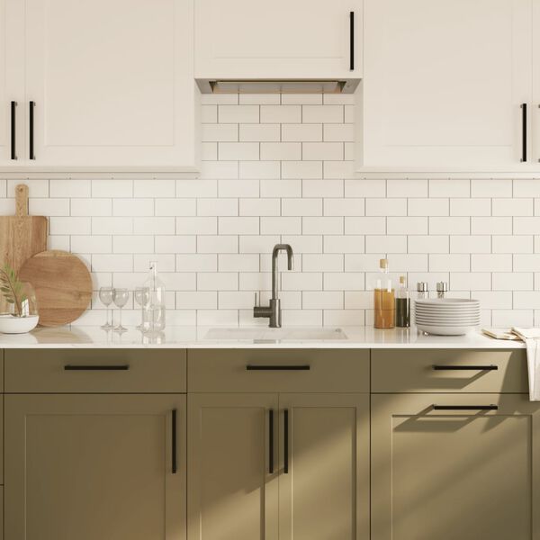 vidaXL Cabinet Handle Set of 10 Black 304 Stainless Steel