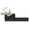 vidaXL Double Sun Lounger Black PE rattan Double-sized