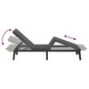 vidaXL Sun Lounger Grey PE Rattan, Powder-Coated Steel Adjustable