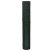 vidaXL Chicken Wire Fence Galvanized with PVC Coating 32.8'x3.3' Green