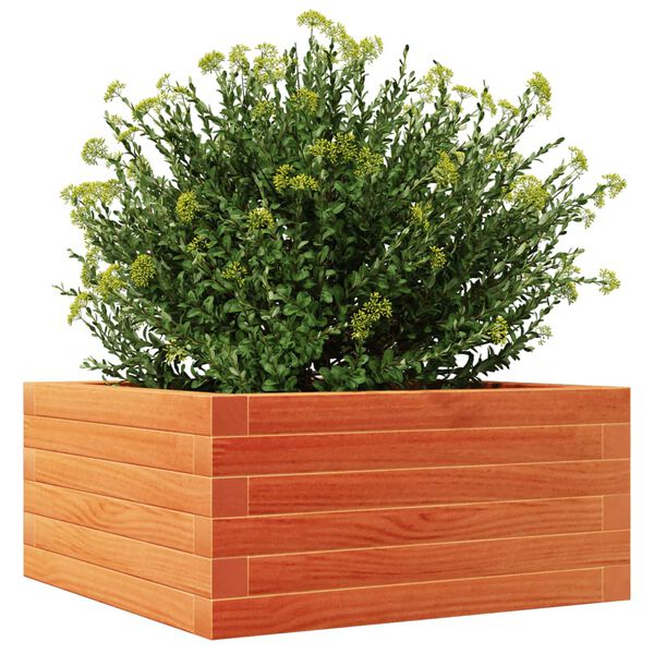 vidaXL Garden Planter Wax Brown Solid Pine Wood Medium Planters