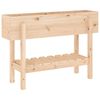 vidaXL Patio Raised Bed  101x30 x 27.2 " Solid Wood Pine