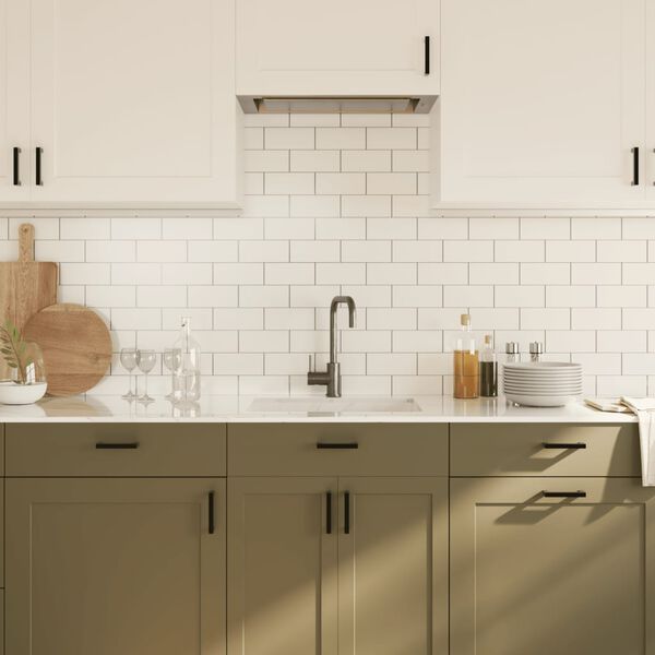 vidaXL Cabinet Handle Set of 20 Black Stainless Steel