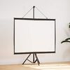 vidaXL Projection Screen with Tripod 60 Inch 4:3