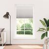 vidaXL Pleated Blind Light grey 100% Polyester 41.3x78.7 in