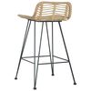 vidaXL Bar Chair Set of 2 Natural Natural rattan and metal Medium