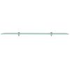 vidaXL Floating Shelf Clear Tempered Safety Glass 39.4x7.9 in