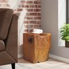 vidaXL Stool Brown Solid teak wood Medium-sized Statement Piece Stool