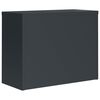 vidaXL File Cabinet Anthracite 35.4x15.7x43.3" Steel