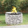 vidaXL Gabion Fire Pit Ø 39.4" Galvanized Iron