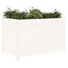 vidaXL Garden Raised Bed White Solid pine wood Medium Decorative Inlays