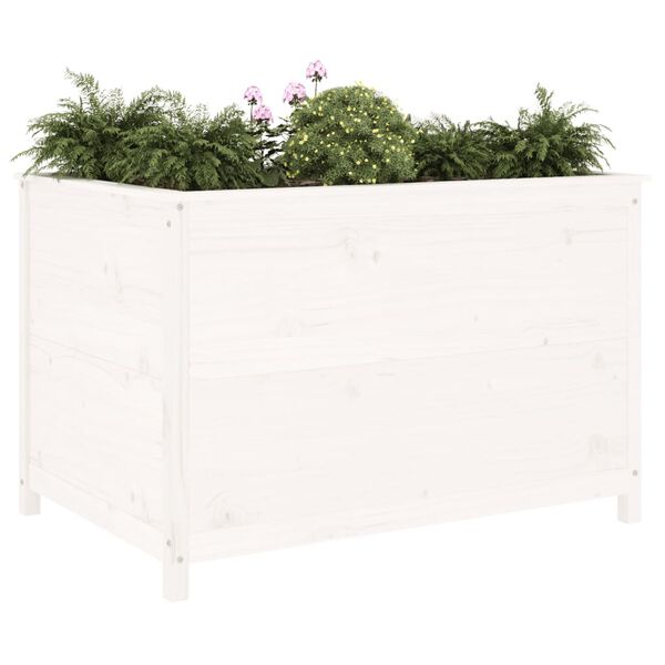 vidaXL Garden Raised Bed White Solid pine wood Medium Decorative Inlays
