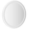 vidaXL LED Bathroom Mirror Glass 19.7 in diameter Modern Round Vanity