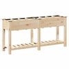 vidaXL Garden Planter Beige 63.58 x 17.72 x 30.12 in Solid Fir Wood