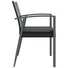 vidaXL Garden Chair Set of 2 Black PE rattan, steel, polyester Standard