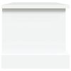 vidaXL Storage Box White Engineered Wood Medium Storage Box