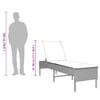 vidaXL Sun Lounger with Cushion Grey 55x200x44cm Poly Rattan