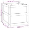 vidaXL Garden Planter Douglas wood color Solid Douglas wood