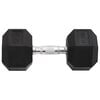 vidaXL Dumbbells 2 pcs 55.1 lb Total Cast Iron
