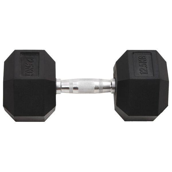 vidaXL Dumbbells 2 pcs 55.1 lb Total Cast Iron