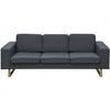 vidaXL Sofa Dark Grey Wood frame, Polyester upholstery, Iron legs 3-seater