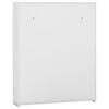 vidaXL Mirror Cabinet White and Silver MDF with Melamine Surface, Glass