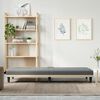 vidaXL Sofa Bed Dark Grey Polyester, Plywood, Foam, Plastic Medium