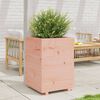 vidaXL Garden Planter Natural Douglas wood Solid Douglas wood