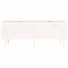 vidaXL Garden Raised Bed White Solid Pine Wood Large Planters