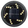 vidaXL Solar Ground Light Set of 12 Black ABS plastic and PP plastic