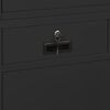 vidaXL Office Cabinet Anthracite Steel and tempered glass Large