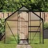 vidaXL Greenhouse Anthracite and Transparent Aluminum, Polycarbonate Large